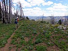 Tons of wildflowers along the ridge.