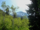 Cobb Peak from the Hyndman Creek trail.