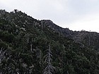 Cone Peak from the Gamboa Trail.