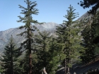 A view of Mount Baldy.