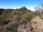 The summit of Emory Peak comes into view.