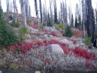 The trail passes through a burn area near the trailhead, full of Fall colors.