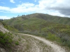 View of the southeastern false summit of Grape Mountain.
