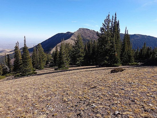 Hayden Peak from Turntable Mountain