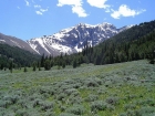 The approach to Mount Breitenbach's north side passes through this gorgeous meadow.