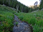 Wildflowers and the stream near our campsite in Iron Basin.