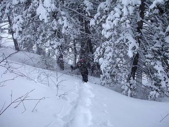 Snowy conditions on Freeman Peak