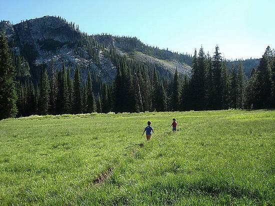 The boys hiking through a meadow near Grass Mountain Lakes.