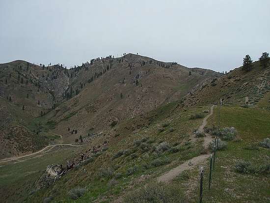 The south ridge of Krall Mountain.